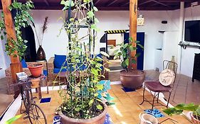 Casa Rural Estilo Canario