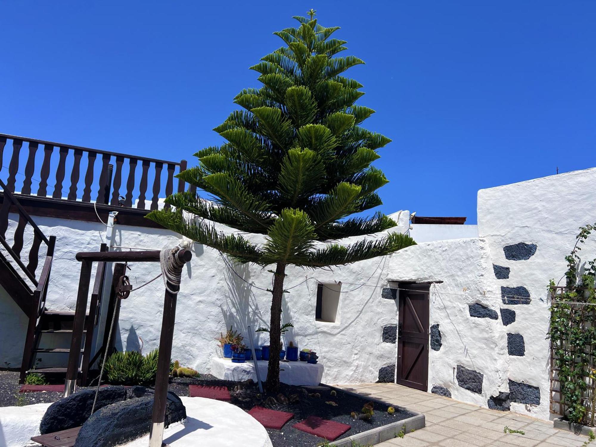 Casa Rural Estilo Canario Villa San Bartolomé Exterior foto